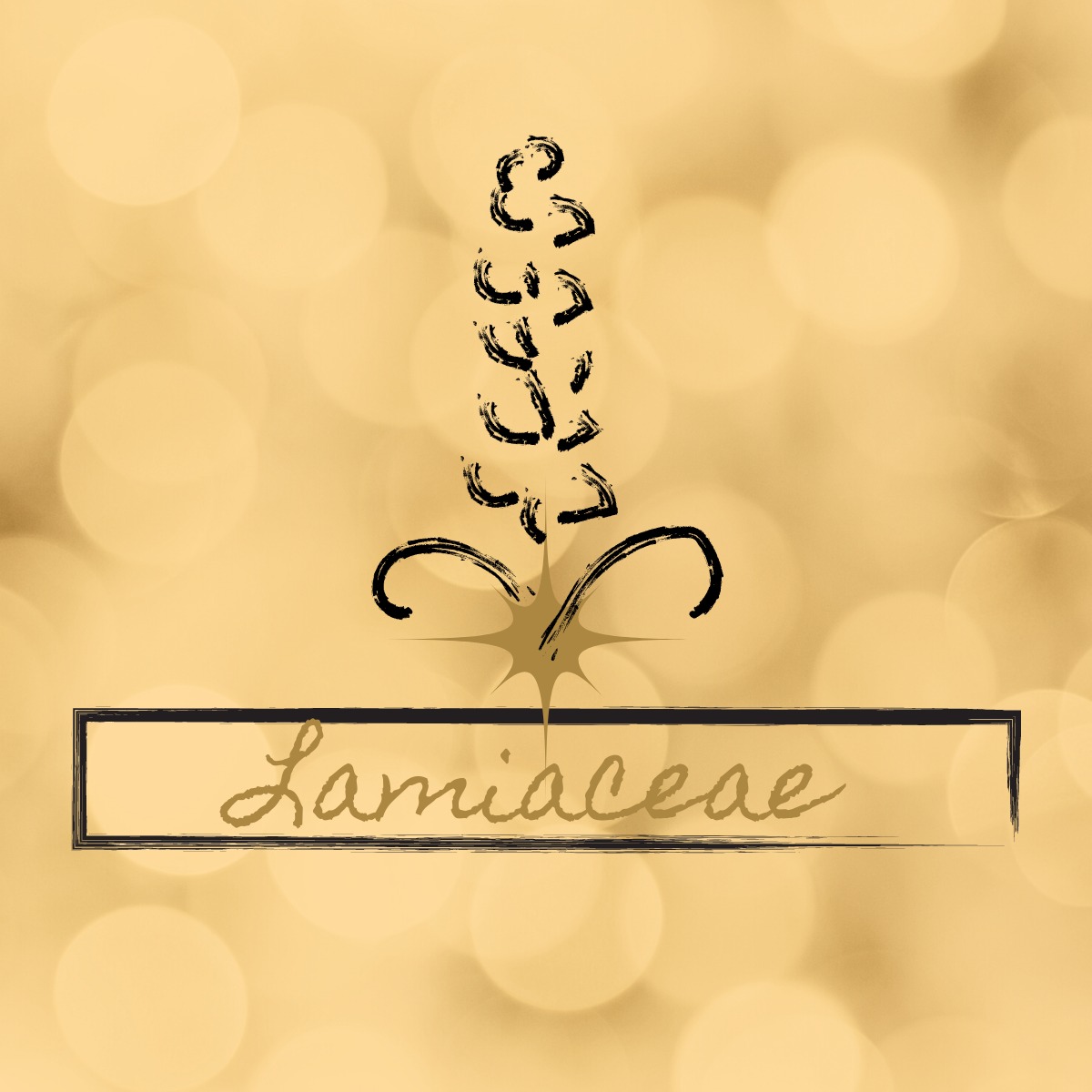 Lamiaceae Logo